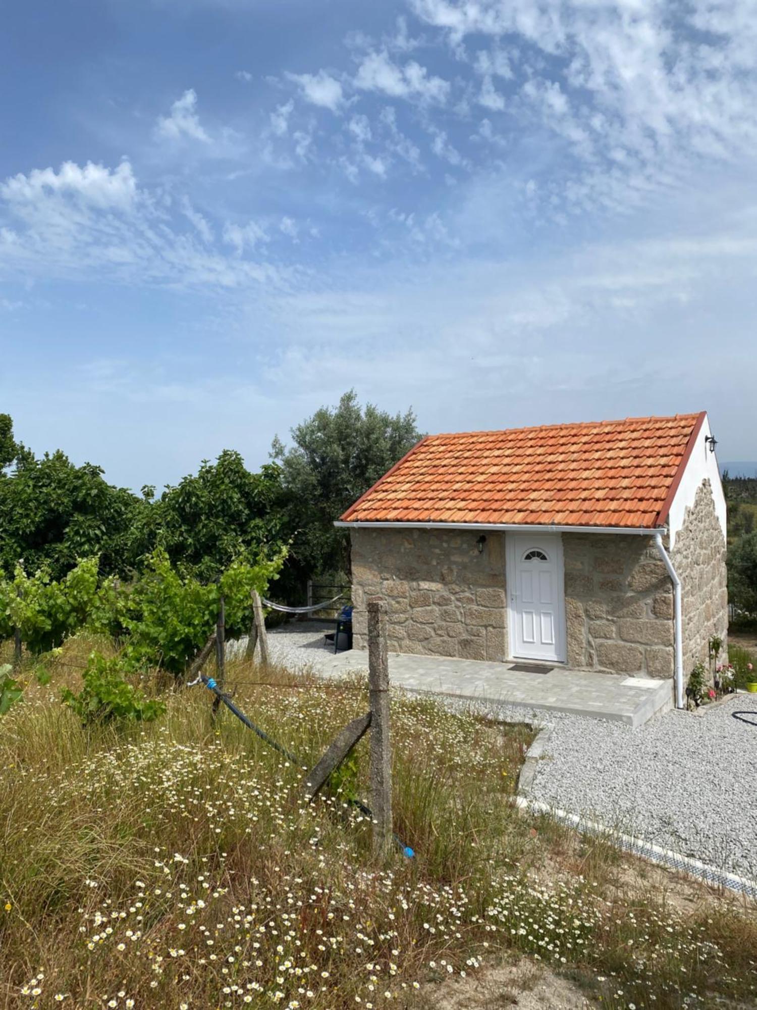 Casa De Pedra Em Vinha No Dao Villa เนลาช ภายนอก รูปภาพ