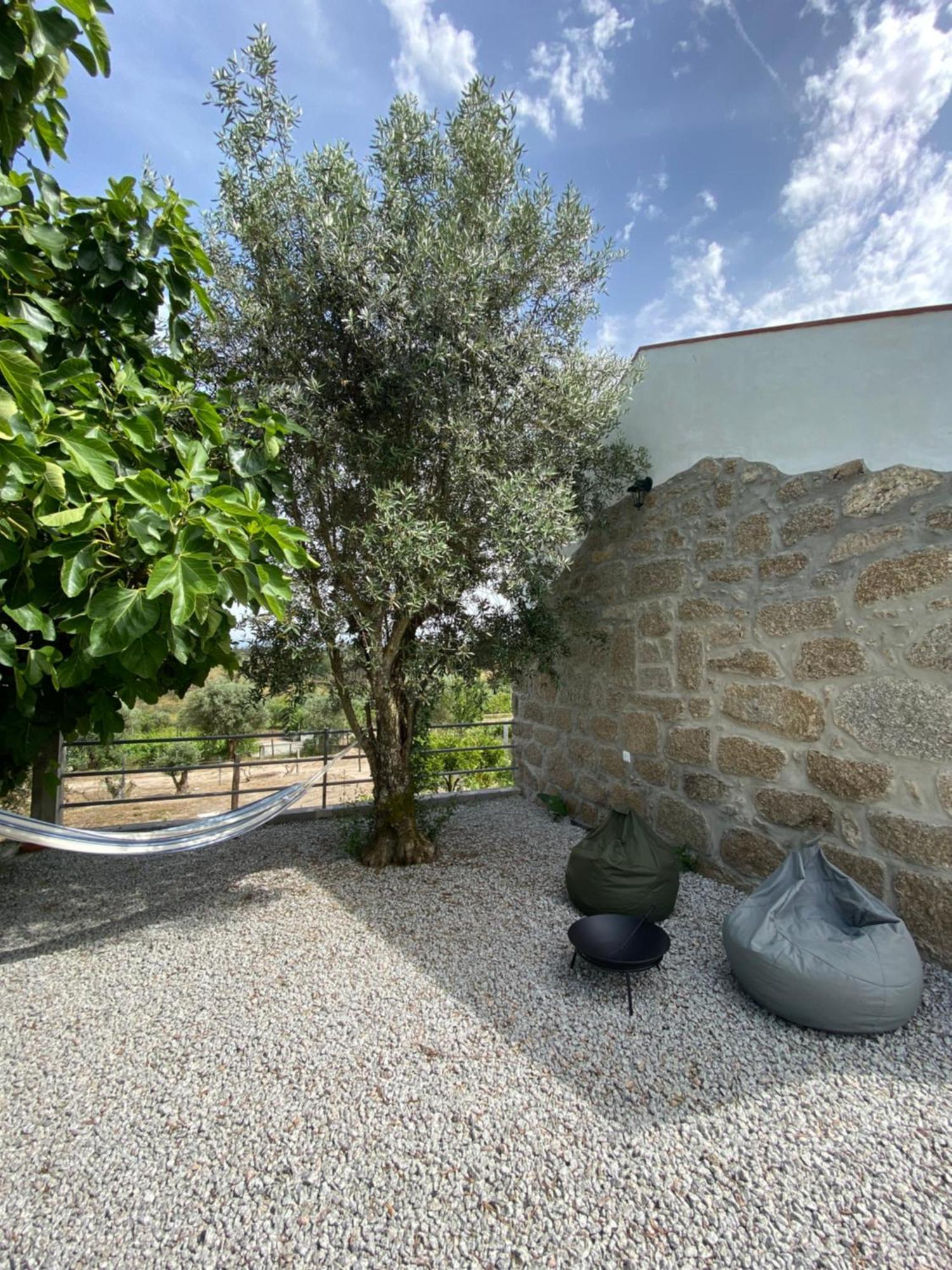 Casa De Pedra Em Vinha No Dao Villa เนลาช ภายนอก รูปภาพ